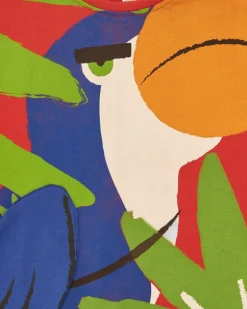 T-shirt multicolore pour garçon avec toucan et appliques